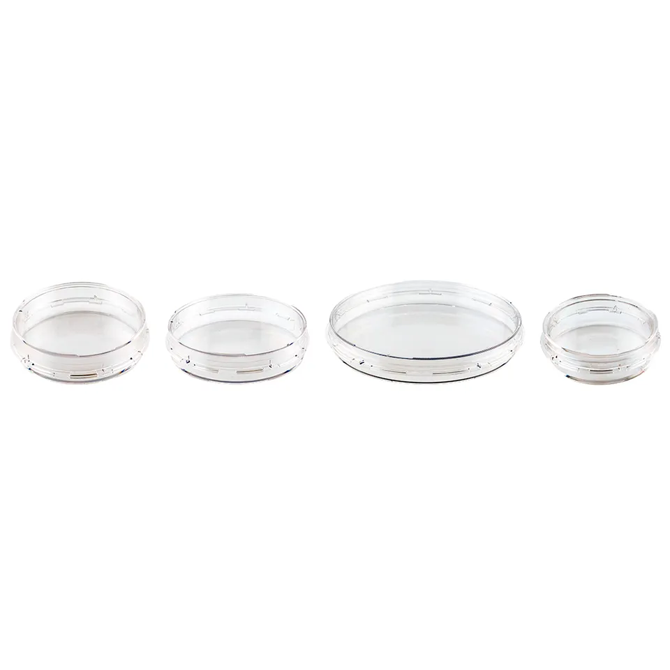 Biosigma ClearLine piastra colture cellulari sterile trattata