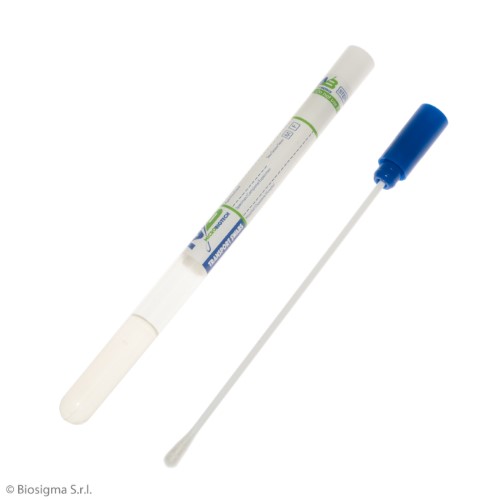 Biosigma BSM003 tampone con Amies sterile viscosa