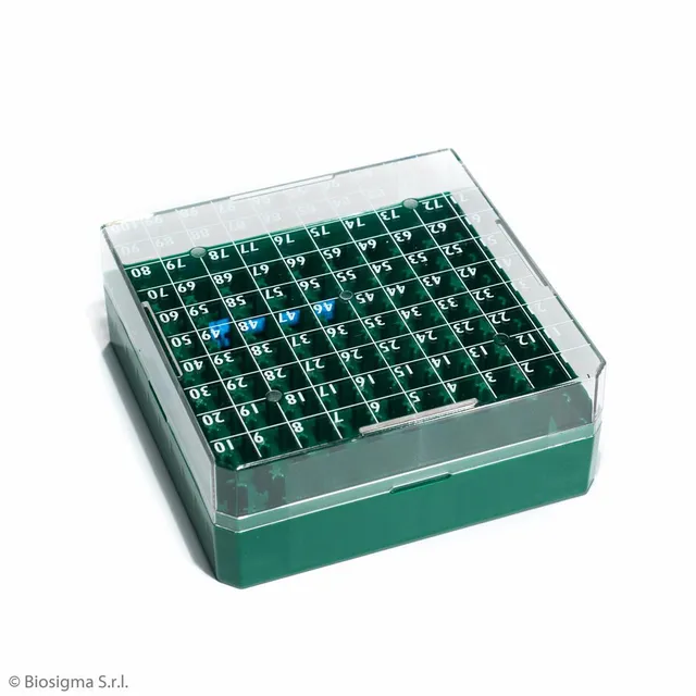 Biosigma CryoGen BSM58100/V cryobox 100 posti fondo verde