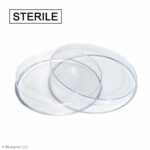 Biosigma BSM200 piastre Petri 60 mm sterili senza prese