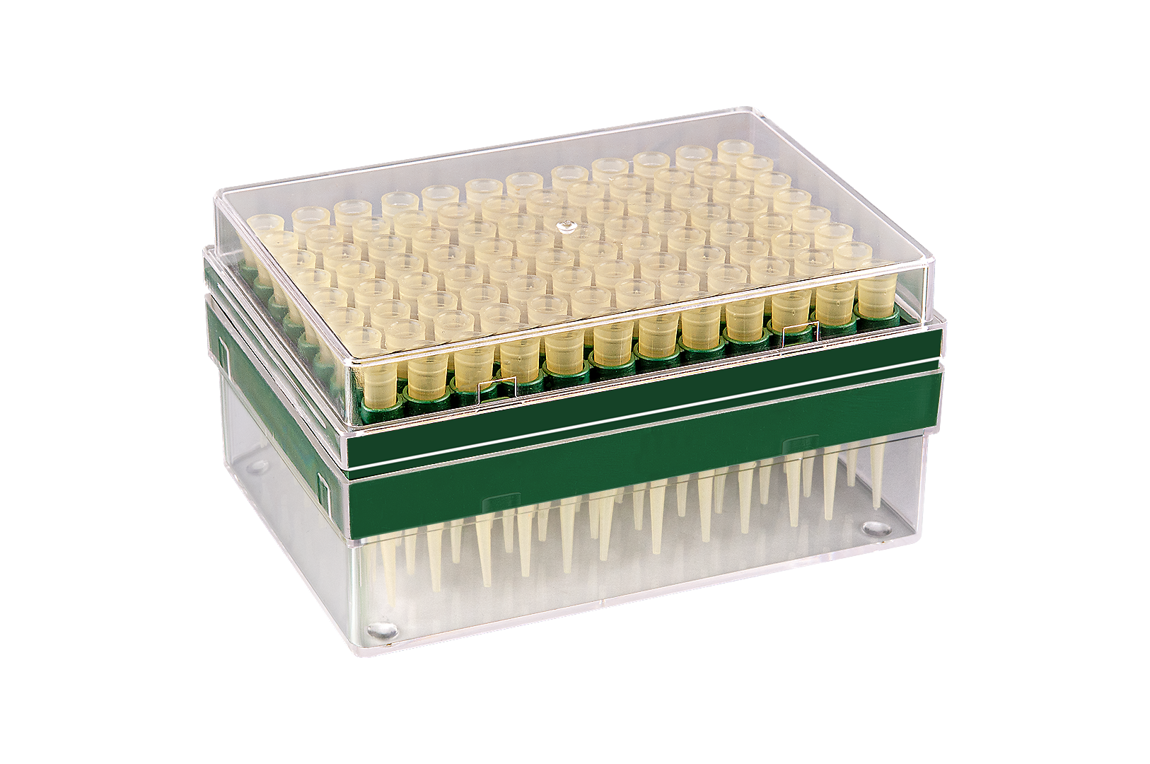 FL Medical Promed 28090 puntali Gilson 200 µl rack 96 pezzi
