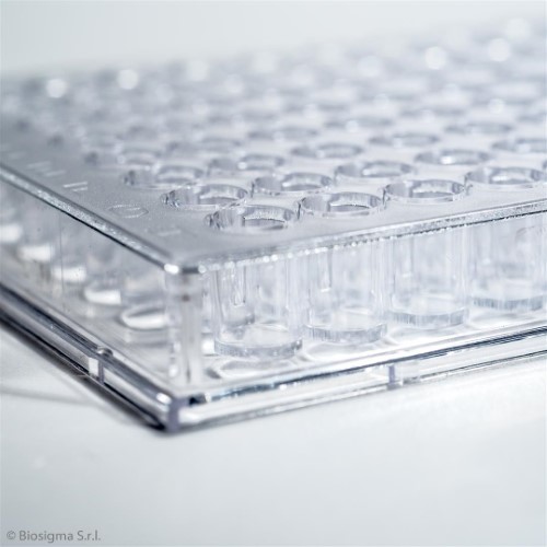 Biosigma BSD010 micropiastra 96 pozzetti fondo U sterile