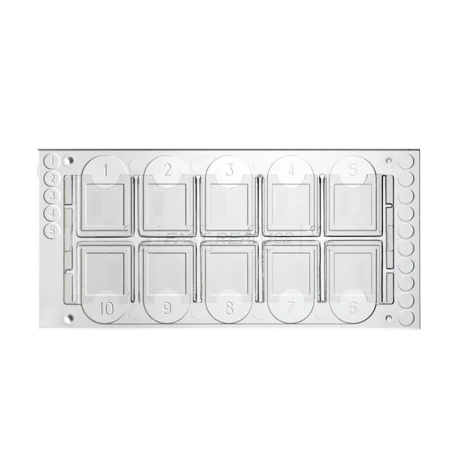 Biosigma Fast-Read 102 vetrini urine 10 camere 7 µl