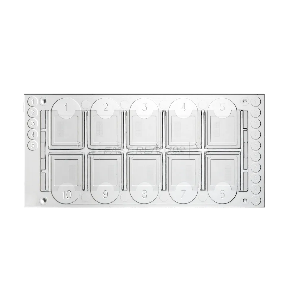 Biosigma Fast-Read 102 vetrini urine 10 camere 7 µl