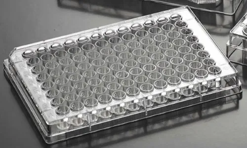 Biosigma CLEARLine 131012C piastra 96 pozzetti sterile x100