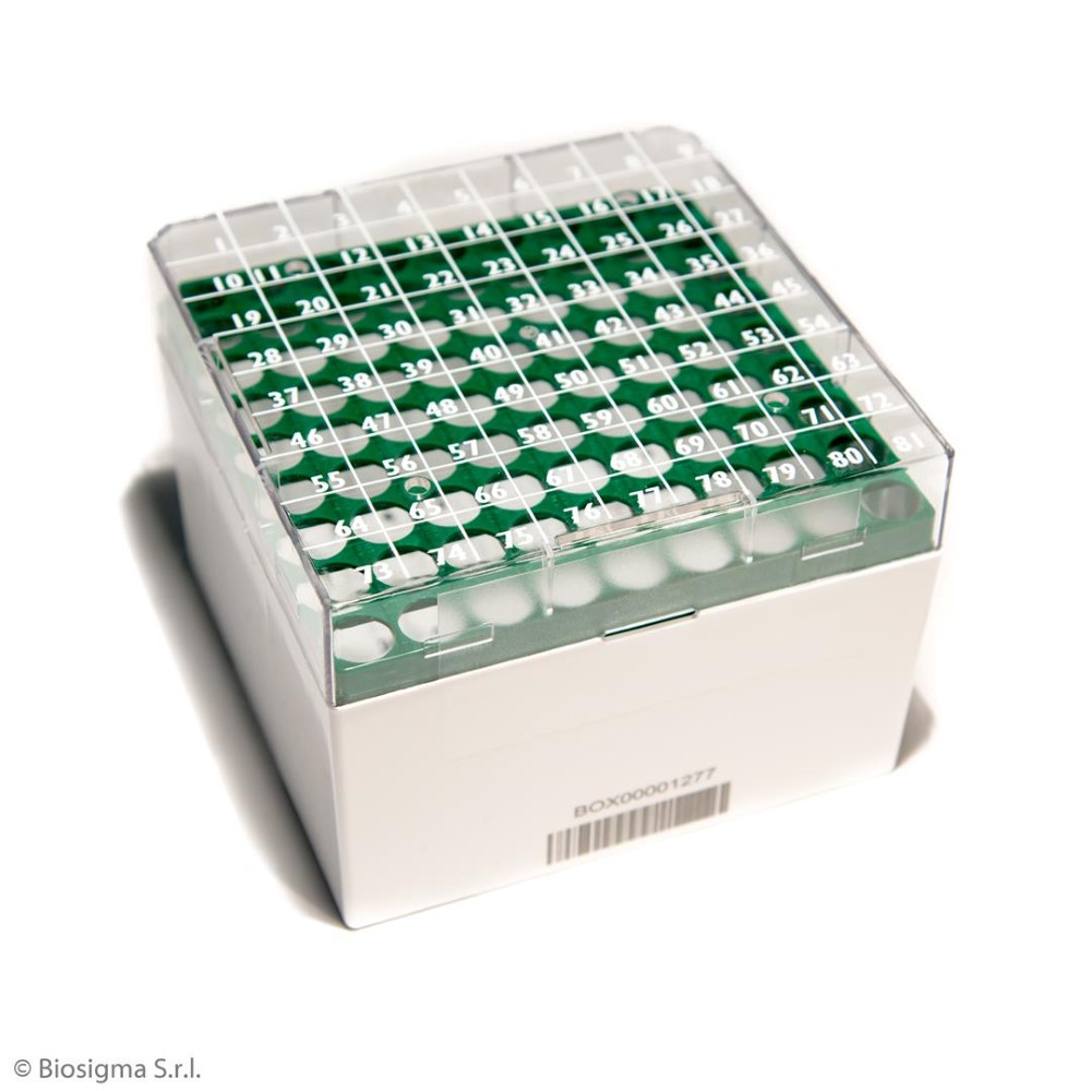 Biosigma CryoGen BSM58071B1D/V box 81 posti verde