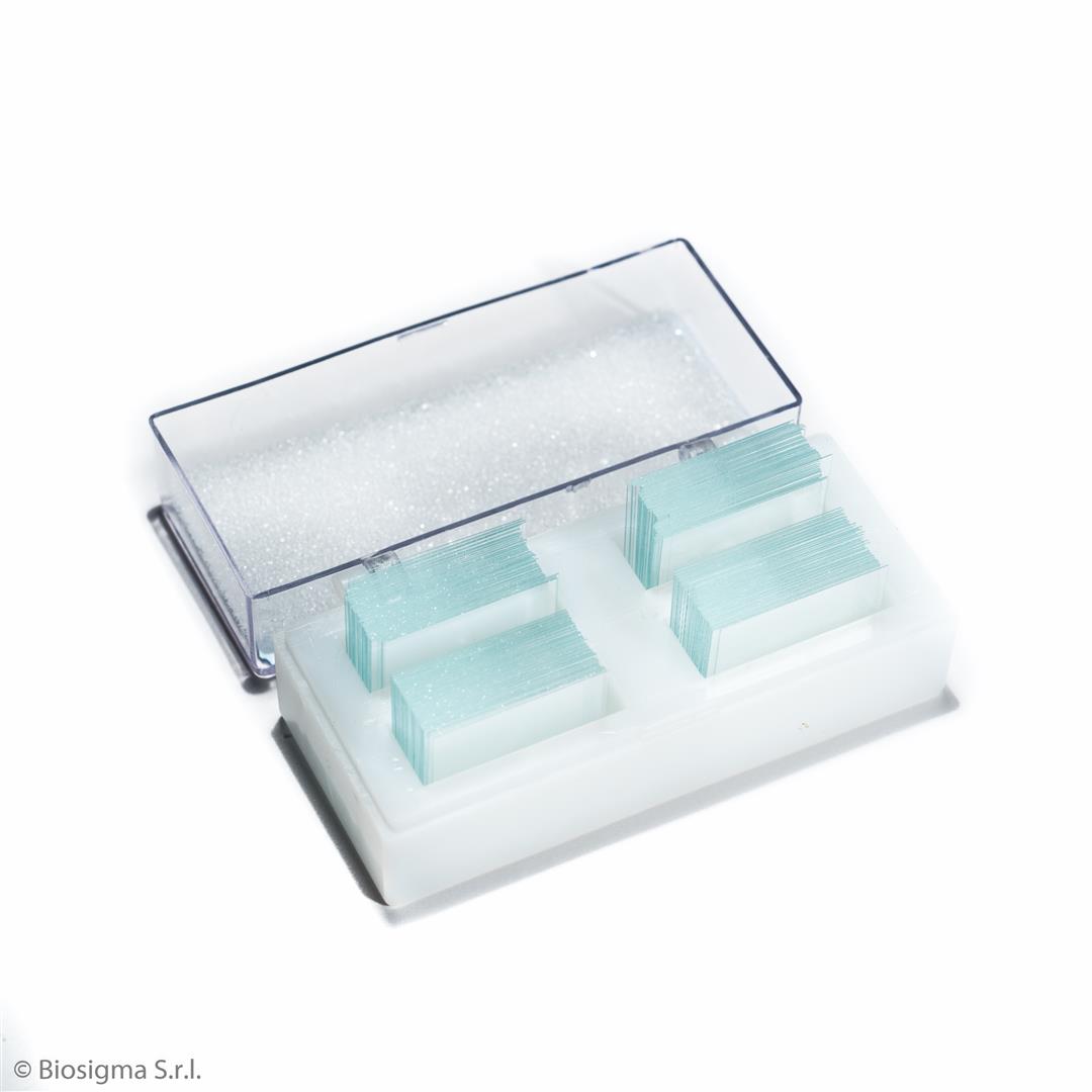 Biosigma VBS636 vetrino coprioggetto 22x22 mm