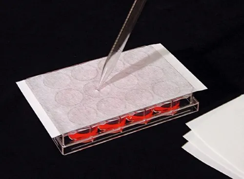 Biosigma CLEARLine 760215 AeraSeal film adesivo sterile