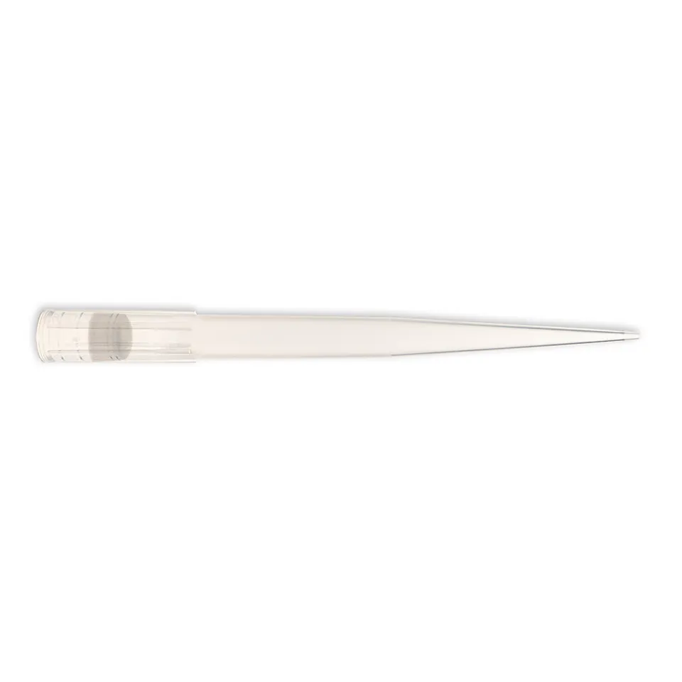 Biosigma ClearLine 134000CLH puntale con filtro universale