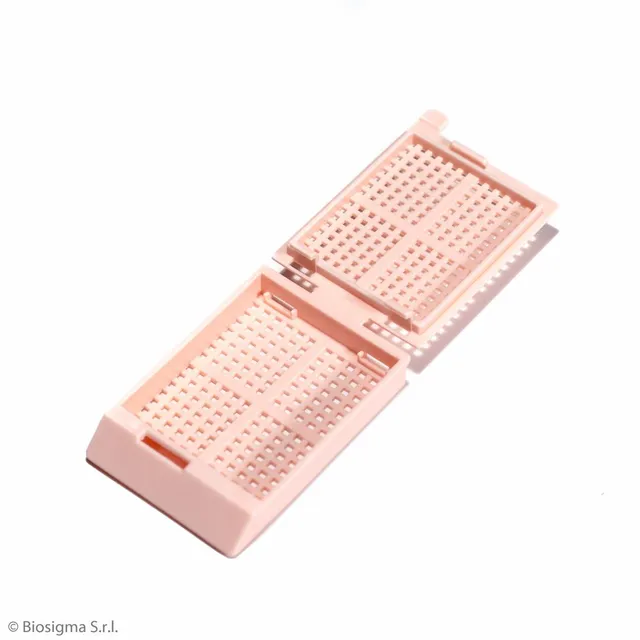 Biosigma BSI1034 cassetta biopsia POM rosa