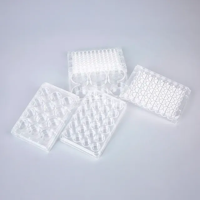 Biosigma CLEARLine piastra coltura multiwell TC PS sterile