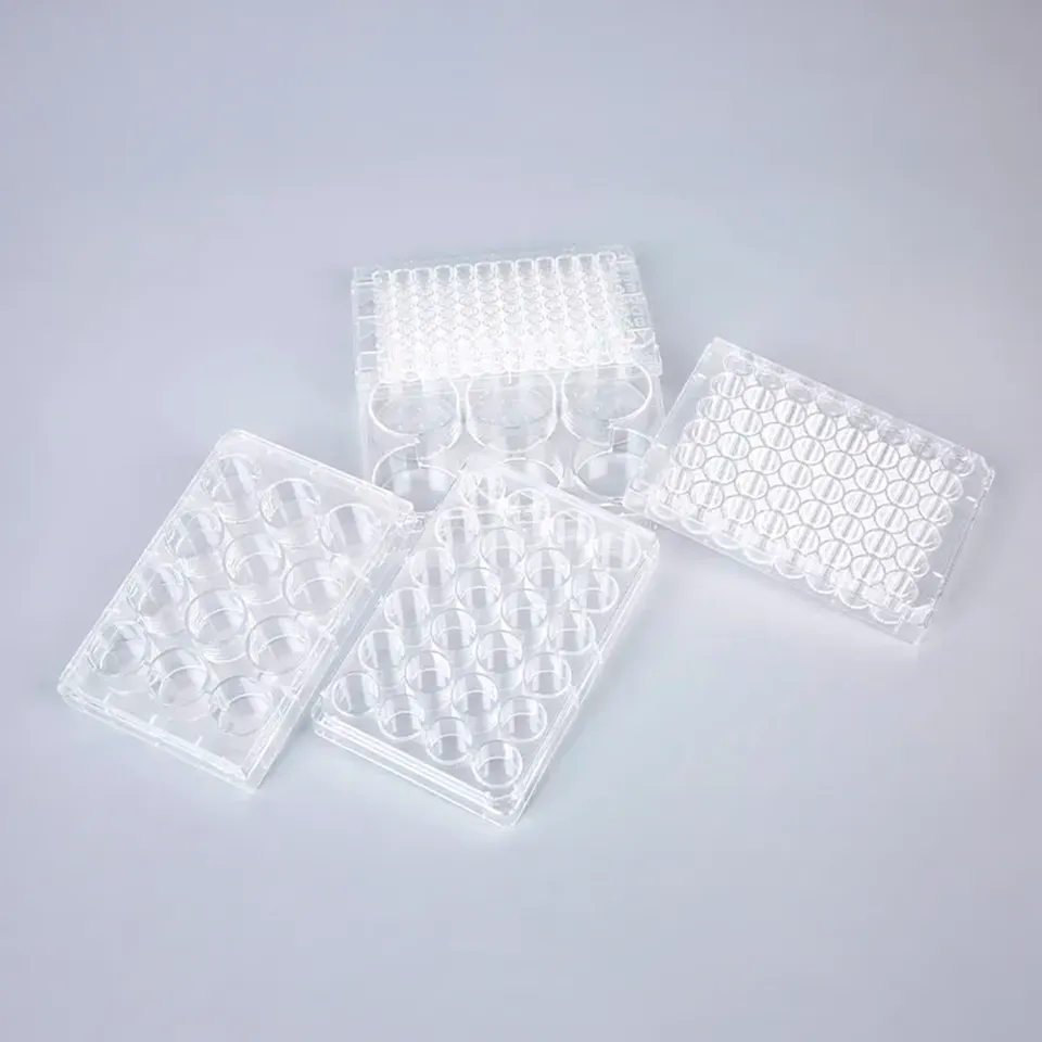 Biosigma CLEARLine piastra coltura multiwell TC PS sterile