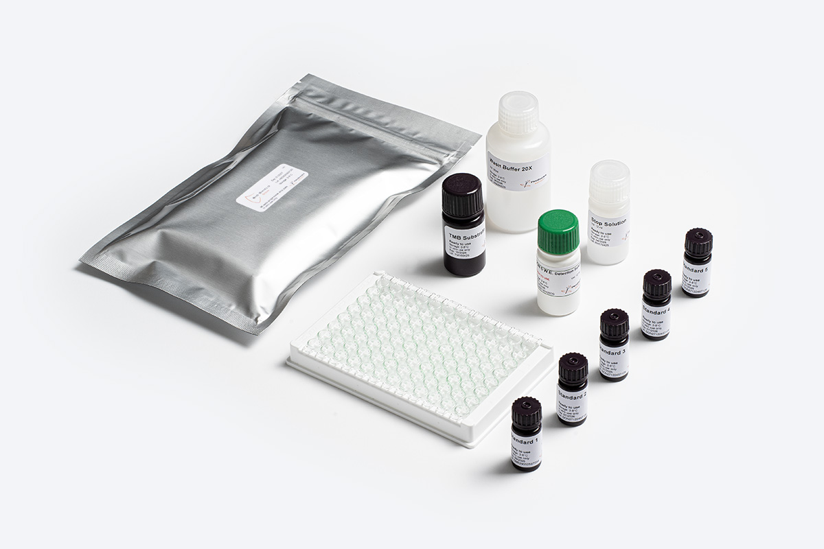 Prognosis Bio-Shield Don 5 Water Extraction test micotossine