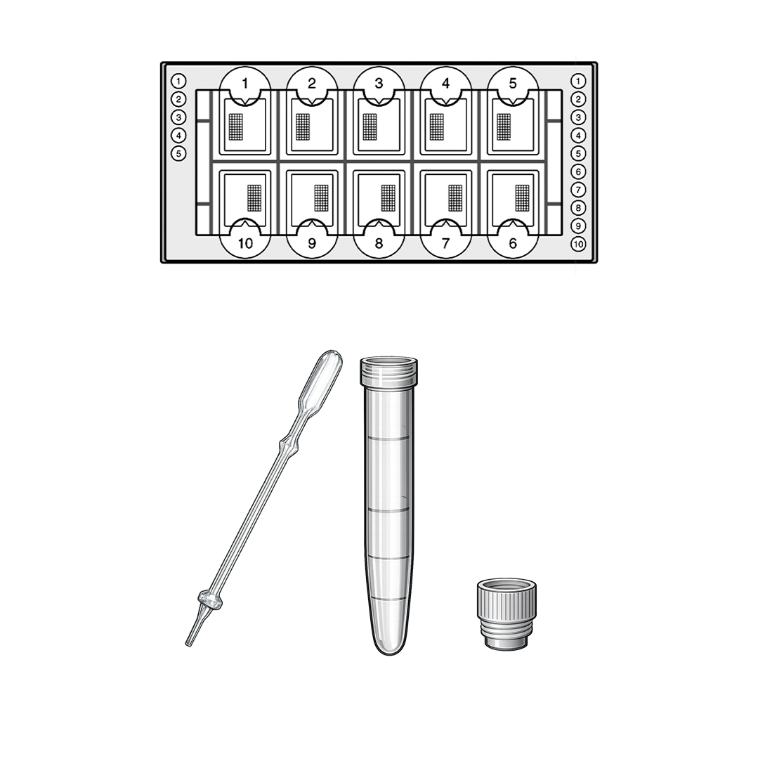 Biosigma BVS1719 kit lettura urina Fast-Read 1000 test