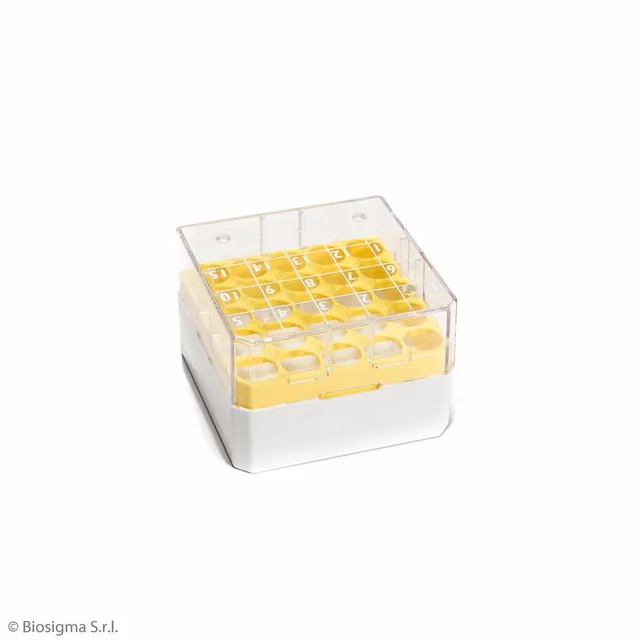 Biosigma CryoGen BSM58025B/G scatola 25 posti gialla policarbonato