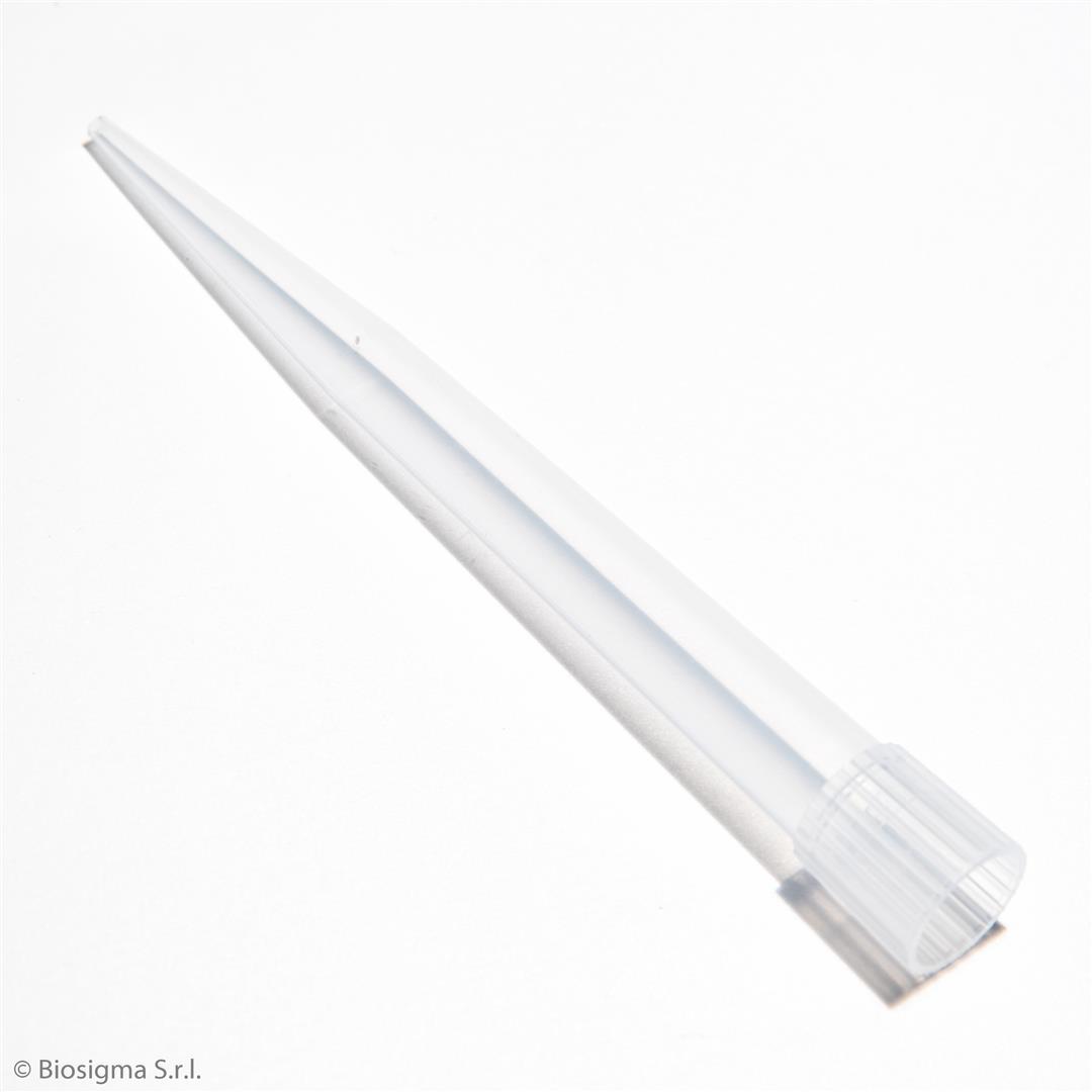 Biosigma BSR080 puntale 1000-5000 µl neutro