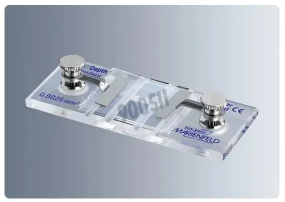 Biosigma 900511 camera di Neubauer doppia linea scura vetro
