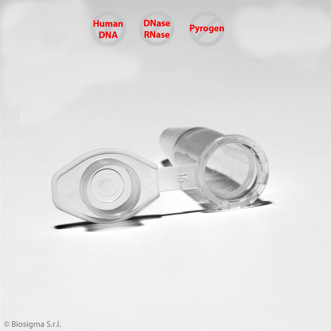 Biosigma Clearline CL022 microprovette 1,5 ml neutre 1000 pz