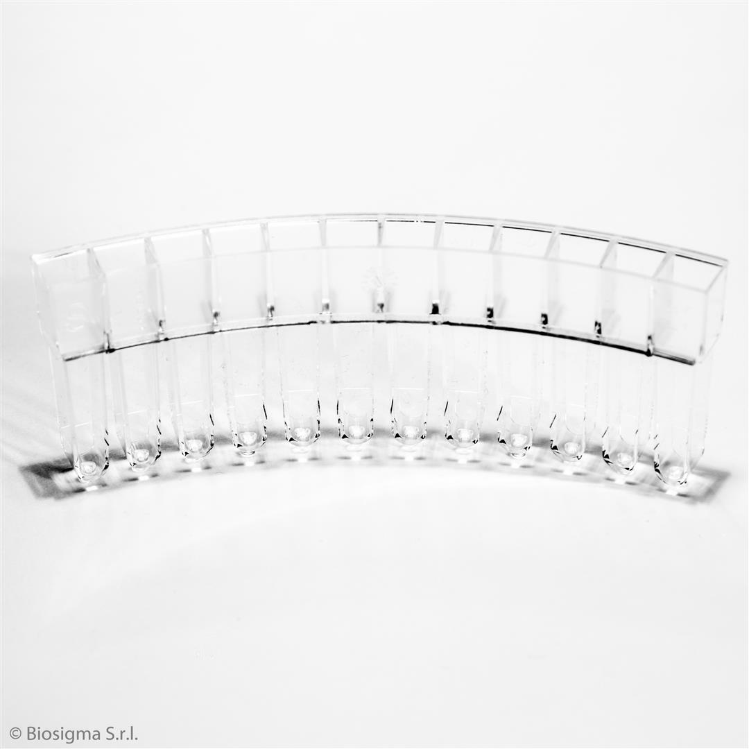 Biosigma BSA84 segmenti multicells 12 pozzetti PMMA