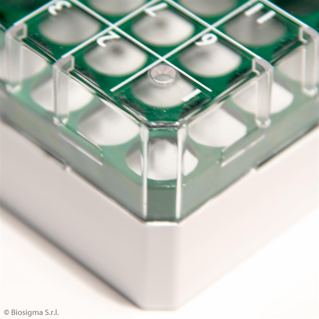 Biosigma CryoGen BSM58071B/AZ box 81 posti azzurro