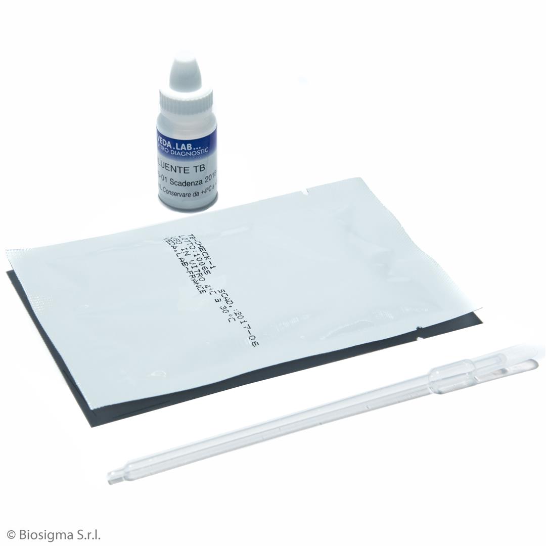 Biosigma BSD594 test rapido anticorpi tubercolosi IgA IgG IgM