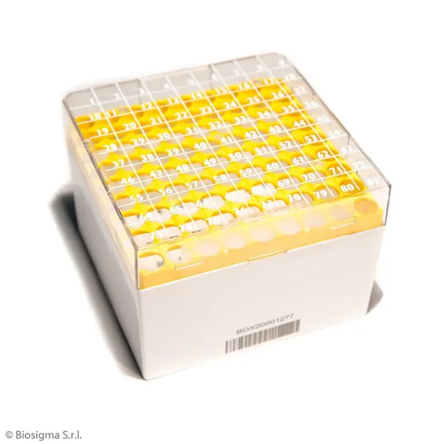 Biosigma CryoGen BSM58071B1D/G cryobox 81 posti gialla