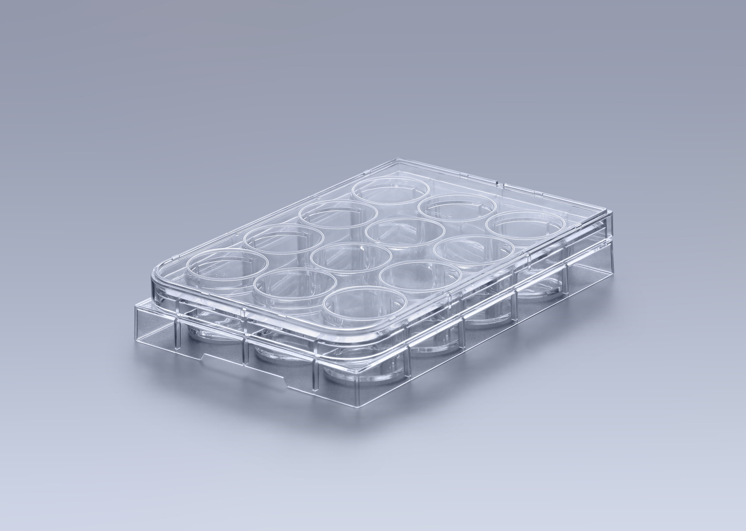 Biosigma ClearLine CL301 piastra 12 pozzetti sterile trattata