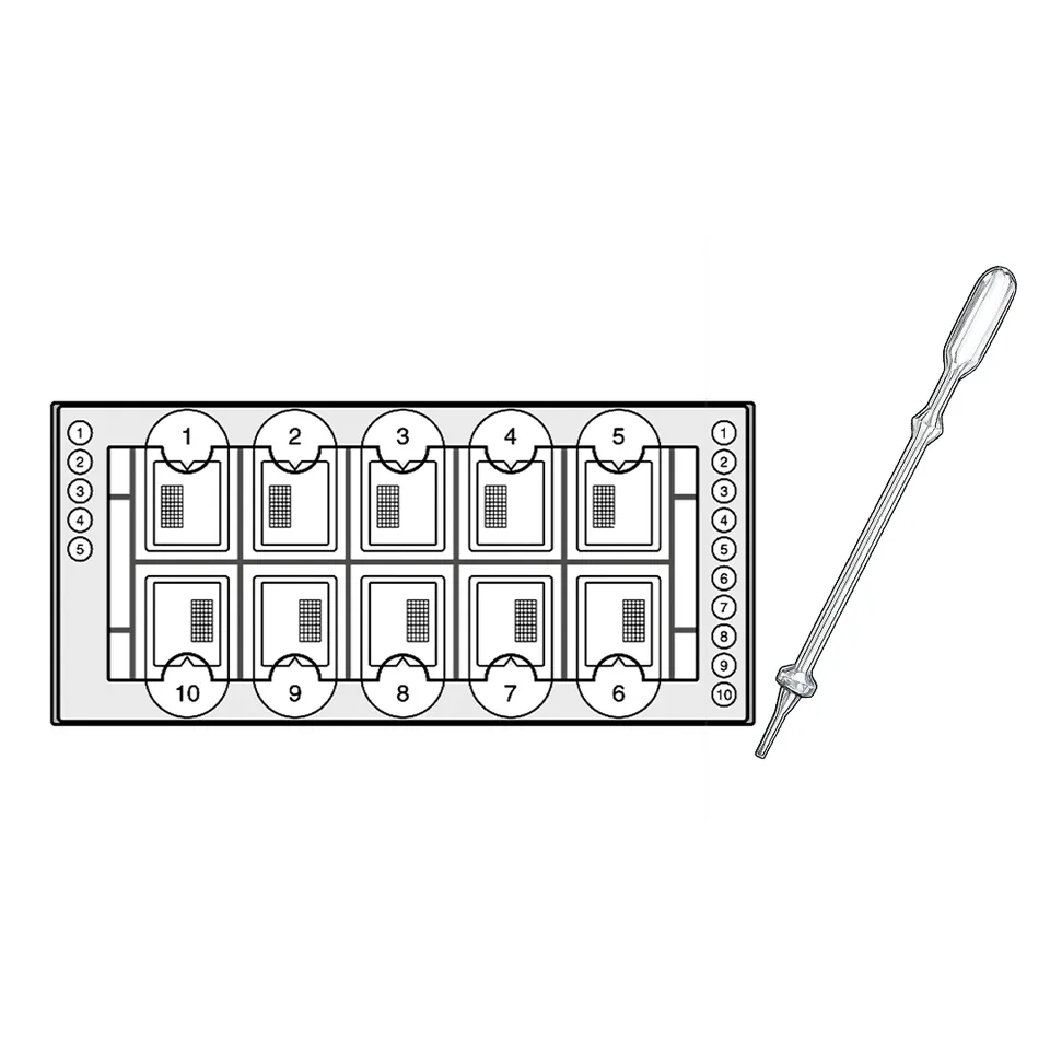 Biosigma BVS171 Microtips Fast-Read 102 kit 1000 determinazioni