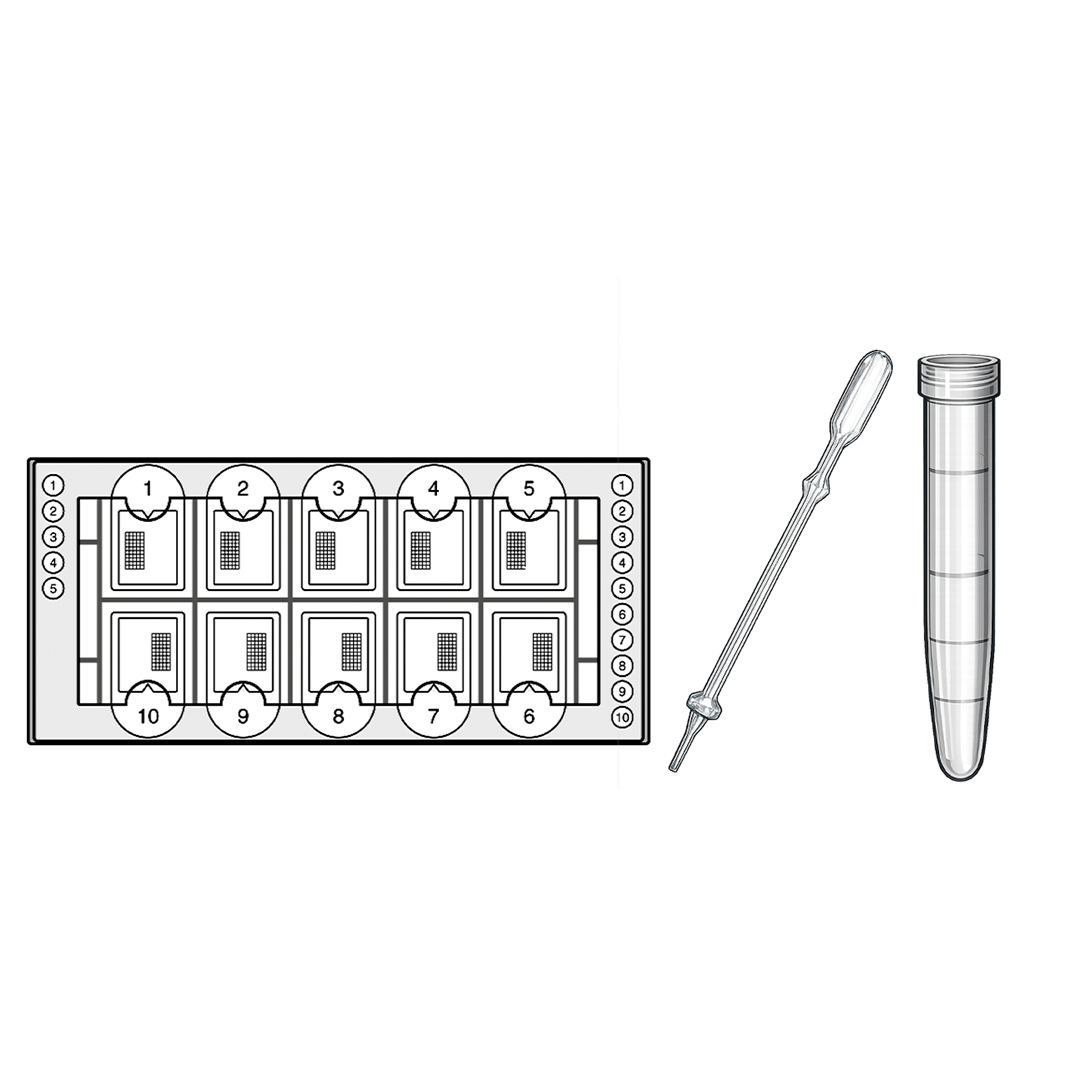 Biosigma BVS1715 kit lettura urine 10 ml 1000 determinazioni