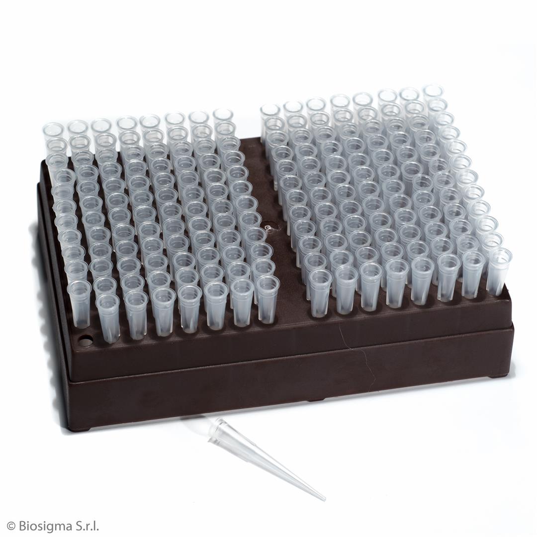 Biosigma BSR048/N puntali pipetta 10-200 µl rack 192 pz naturali