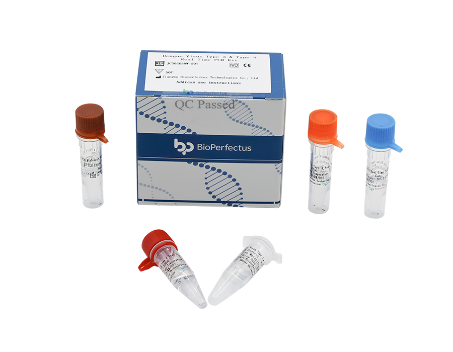 AB Analitica RealQuality Dengue Virus 1 e 2 kit PCR real time
