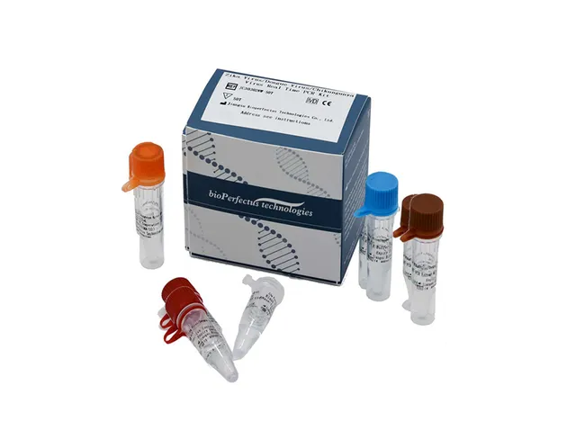 AB Analitica Realquality Zika Dengue Chikungunya kit PCR real time
