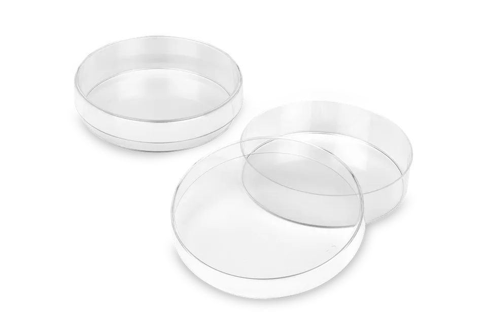 FL MEDICAL Promed 29140 piastra Petri 60 mm 10 pezzi