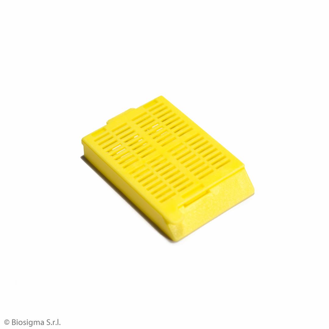 Biosigma BSI1022 cassette inclusione gialle POM