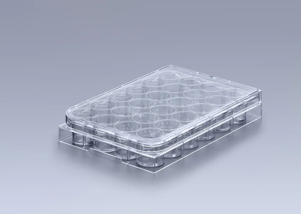 Biosigma CLEARLine CL302 piastre coltura 24 pozzetti sterili