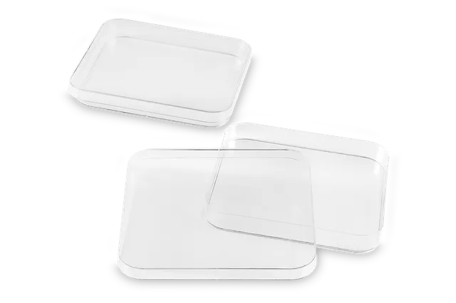 FL Medical Promed piastra petri quadrata 120x120 mm 10 pezzi
