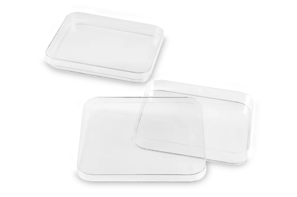FL Medical Promed piastra petri quadrata 120x120 mm 10 pezzi