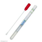 Biosigma BSM001/M tampone Stuart sterile alluminio viscosa