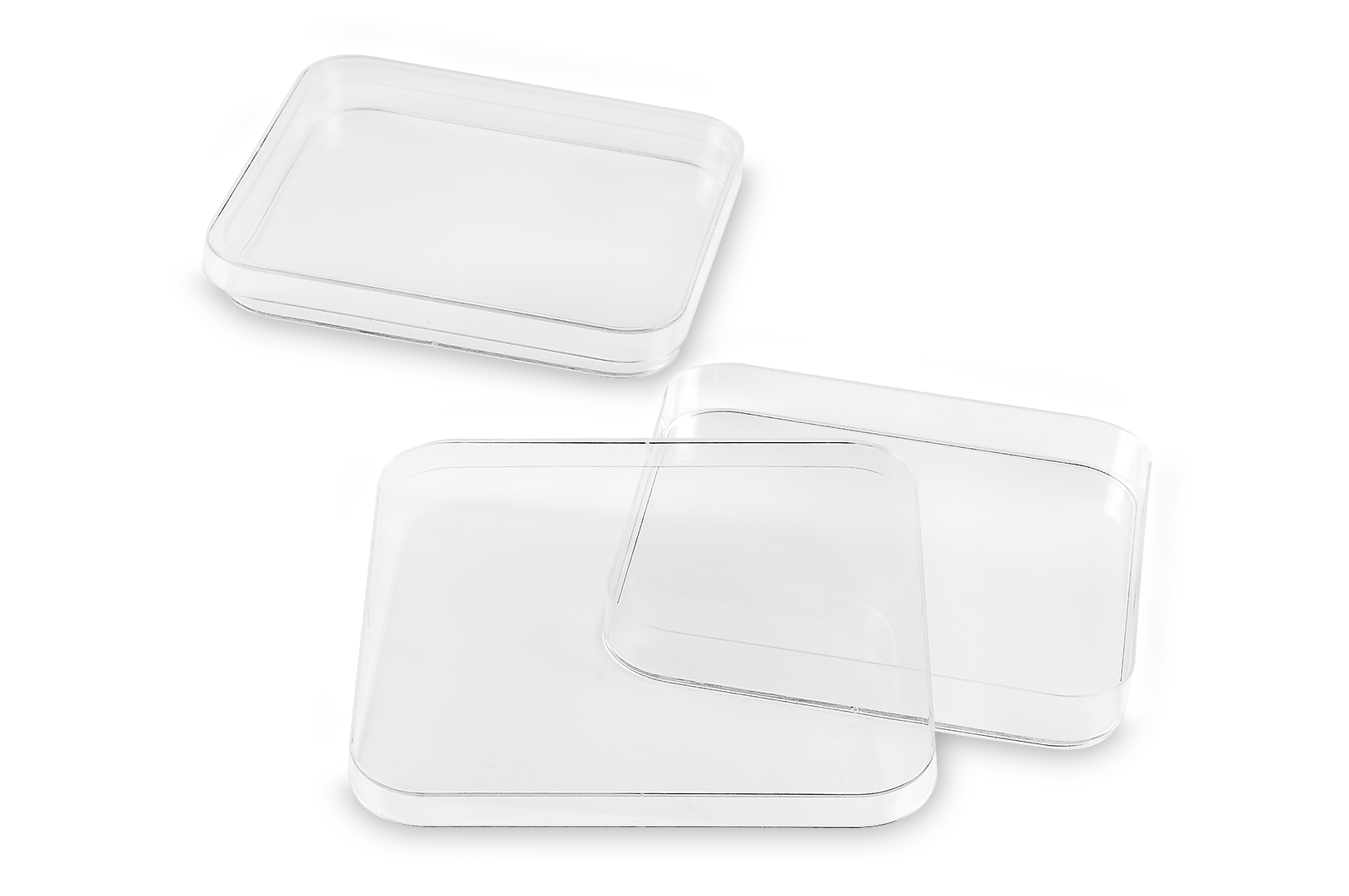 FL Medical Promed piastra petri quadrata 120x120 mm 10 pezzi