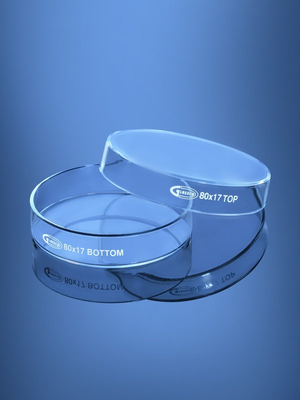 Glassco BORO 3.3 capsula Petri in vetro borosilicato