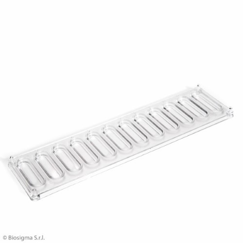 Biosigma BSA037 strip tipizzazione ematica 10 pozzetti