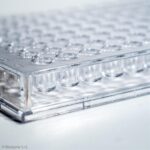 Biosigma piastra 96 pozzetti polistirene trasparente sterile