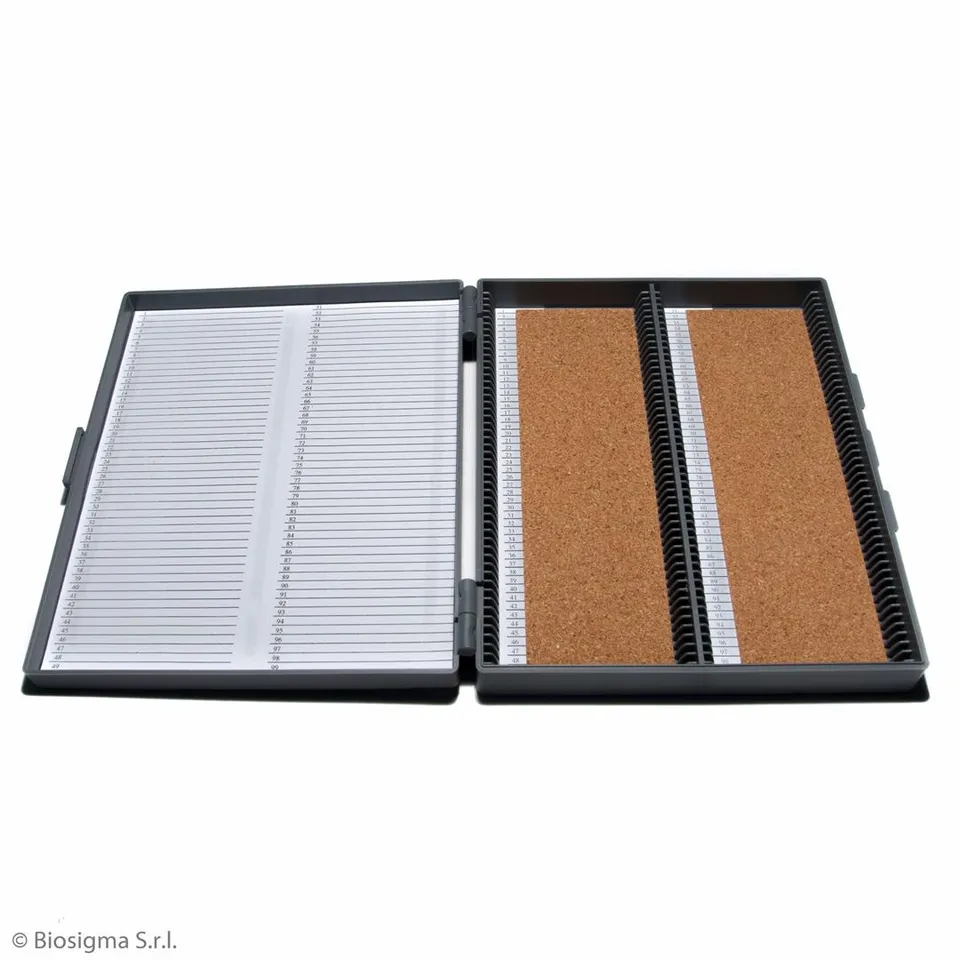 Biosigma BSL278 scatola portavetrini 100 posti ABS 20x16 cm