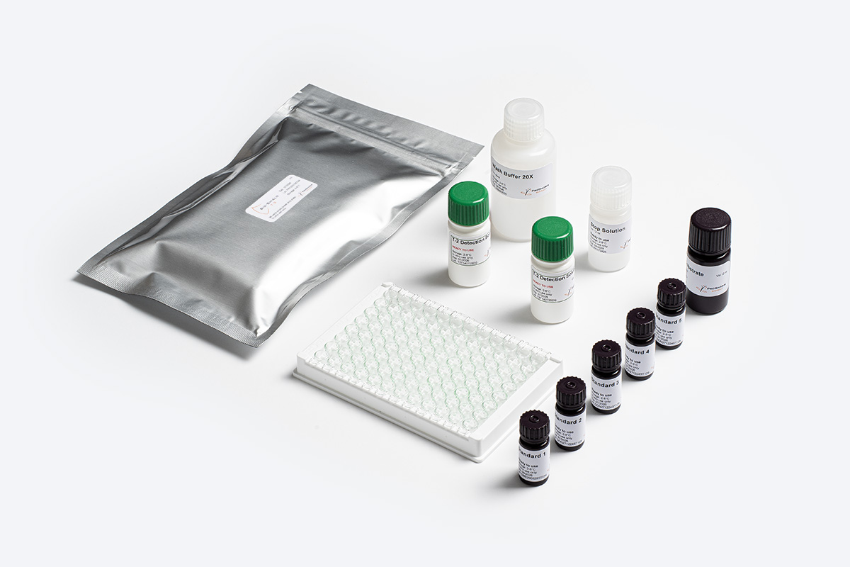 Prognosis Bio-Shield T-2 test micotossina alimentare