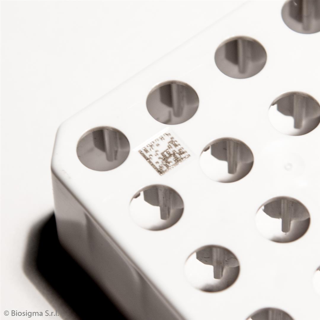 Biosigma CLEARLine criobox policarbonato per tubi 2D