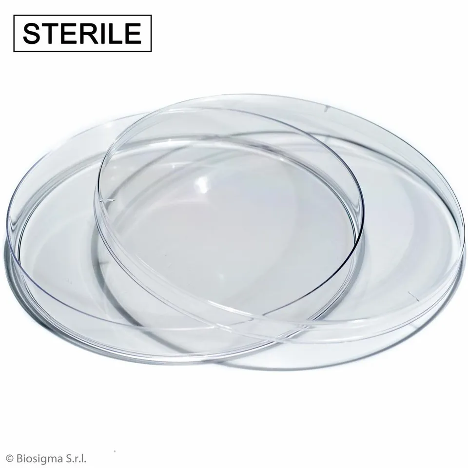 Biosigma BSM230 piastre Petri 150mm sterili con sfiato
