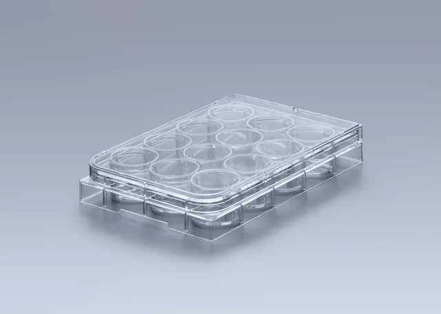 Biosigma ClearLine CL301 piastra 12 pozzetti sterile trattata
