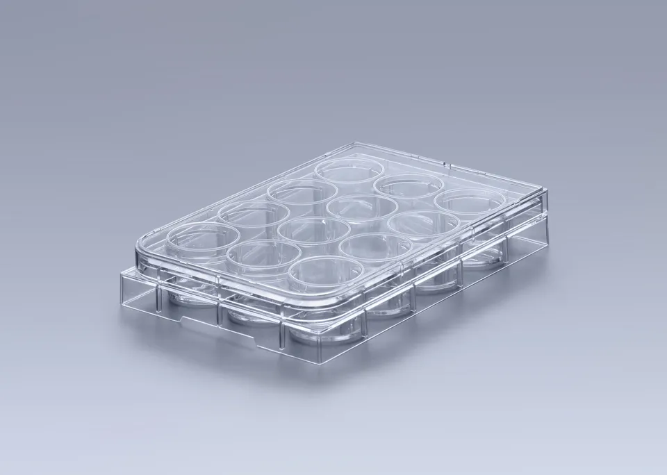 Biosigma ClearLine CL301 piastra 12 pozzetti sterile trattata