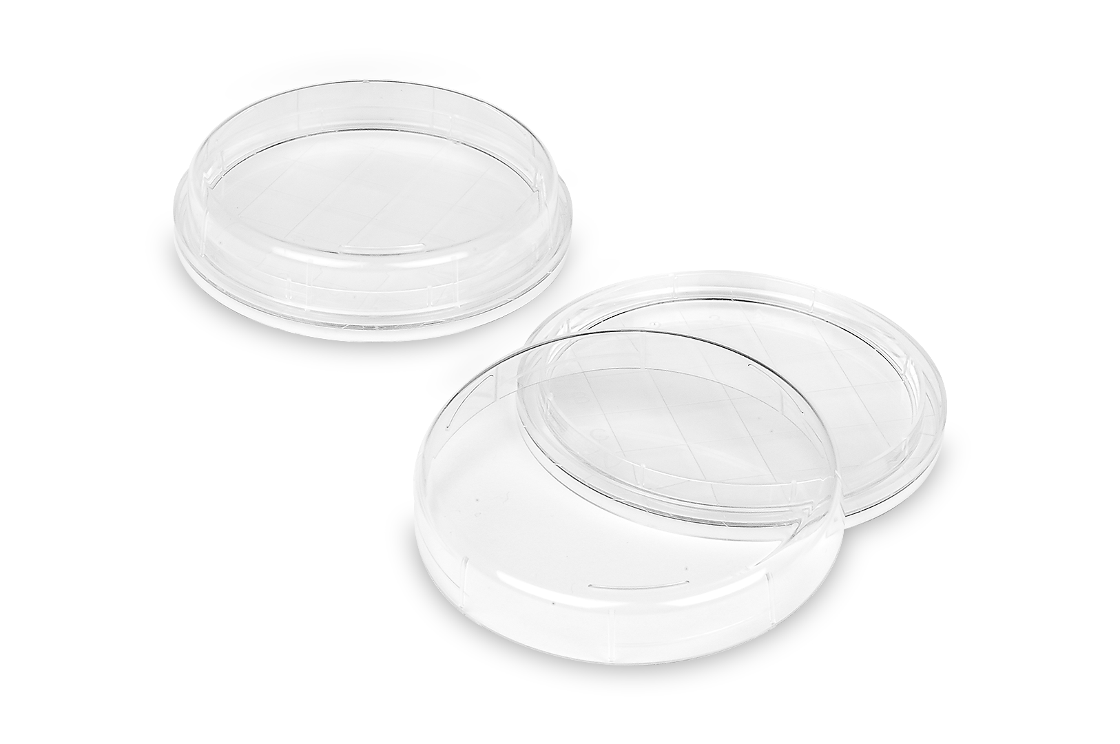 FL Medical Promed 29075 piastra Petri contact Ø55 mm 10 pezzi ventilata