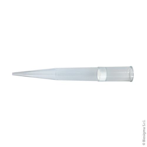 Biosigma ClearLine 035260CL puntali filtro 1000 µl sterili